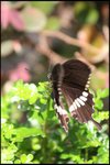 IMG_0607