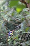 IMG_0320