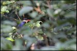 IMG_0360