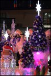 IMG_0776
