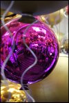 IMG_0782