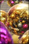 IMG_0788
