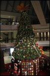 IMG_1500