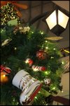 IMG_1514