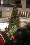 IMG_1527