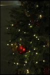 IMG_1595