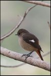 IMG_3659