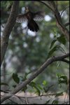 IMG_3795