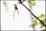 IMG_4436