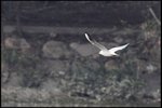 IMG_4510