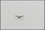 IMG_4542