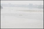 IMG_4561