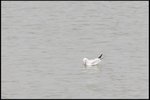 IMG_4582