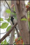 IMG_4725