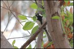 IMG_4726