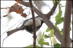 IMG_4737