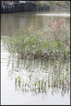 IMG_4776