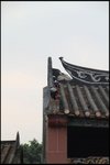 IMG_5289