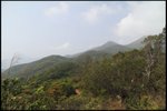 IMG_5373