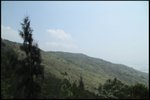IMG_5382
