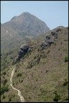 IMG_5459
