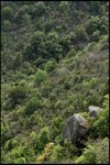 IMG_5472