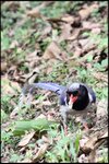 IMG_6277