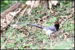 IMG_6281