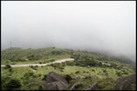 IMG_6783