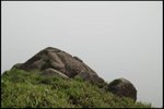 IMG_6789