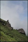 IMG_6812
