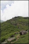 IMG_6886
