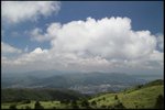 IMG_6889