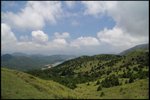 IMG_6894