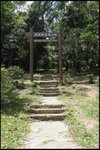 IMG_6905