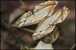 IMG_1180