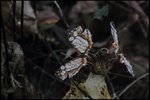IMG_1225