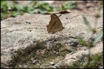 IMG_1248