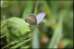 IMG_1258