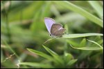 IMG_1259