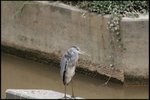 IMG_1273