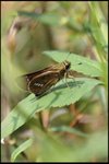 IMG_1405