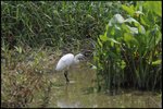 IMG_1407