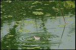 IMG_1428