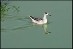 IMG_1435