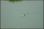 IMG_1436