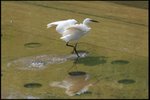 IMG_1441