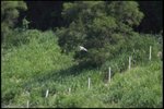 IMG_1452