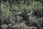 IMG_1455