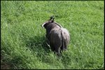 IMG_1471